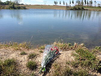 5-year-old drowns in Dublin